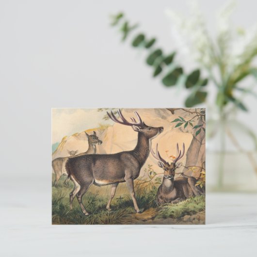 De Rusa Deer van Joseph Wolf Briefkaart (Staand voorkant)