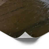 De rust van Staithes Beck Poster (Hoek)