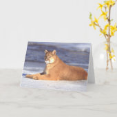 De Rustende Kaart van de poema (Gele Bloem)