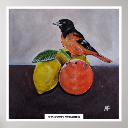 De rustige pose van de Oriole Schilderij van Alfre Poster (Voorkant)