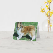 DE RUWE COLLIE VAN DE SABELMARTER KAART (Gele Bloem)