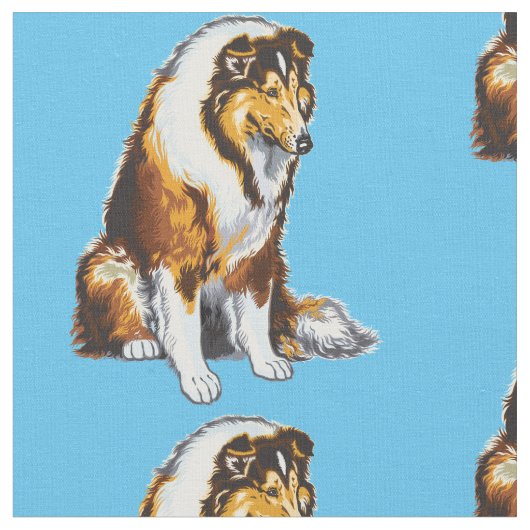 De ruwe stof van de Collie (Close Up)