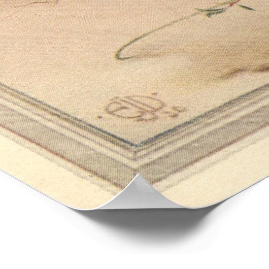 DE SACRED BEETLE - Insect Book Illustration Poster (Hoek)