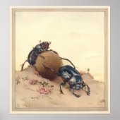 DE SACRED BEETLE - Insect Book Illustration Poster (Voorkant)