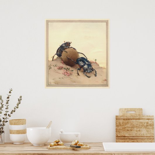 DE SACRED BEETLE - Insect Book Illustration Poster (Keuken)