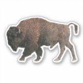 De Sacred Buffalo Sticker (Voorkant)