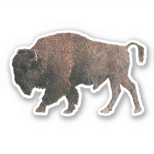 De Sacred Buffalo Sticker (Voorkant)