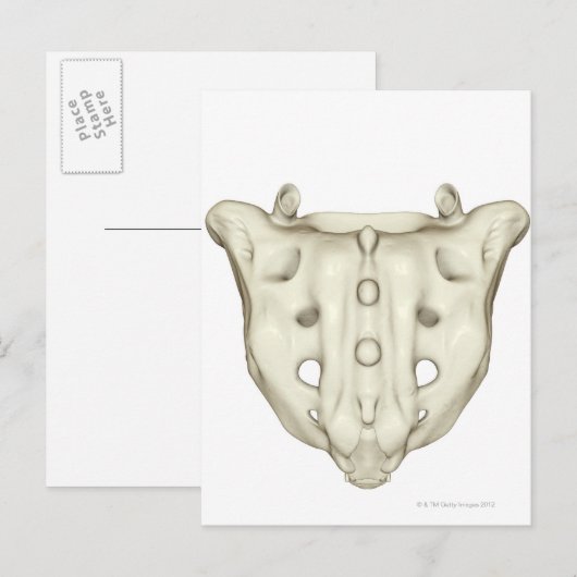 De sacrum briefkaart (Voorkant / Achterkant)