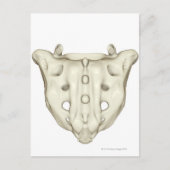 De sacrum briefkaart (Voorkant)