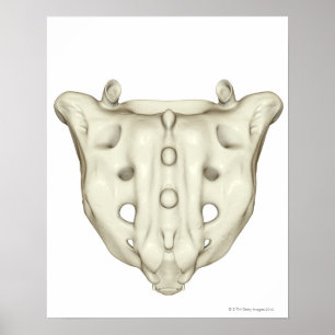 De sacrum poster