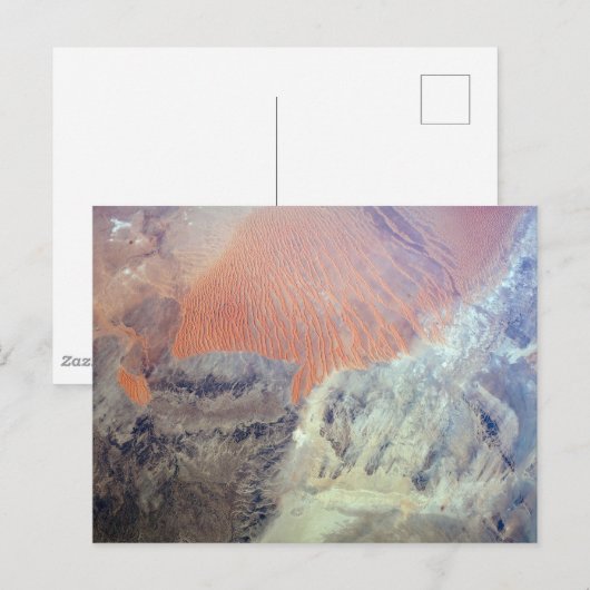 De Saharawoestijn in Algerije, Noord-Afrika. Briefkaart (Voorkant / Achterkant)