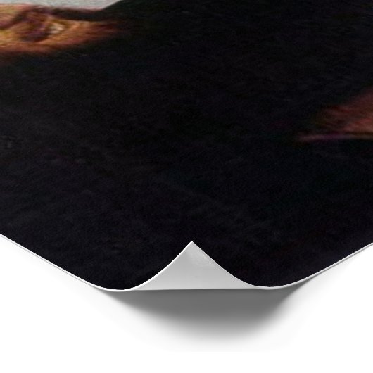 DE SAINT GROOMEN POSTER (Hoek)