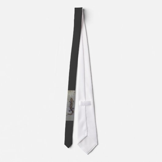 De salamander stropdas (Achterkant)