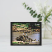 De Samburu Briefkaart (Staand voorkant)