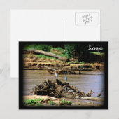 De Samburu Briefkaart (Voorkant / Achterkant)