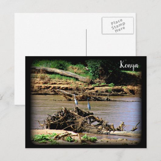 De Samburu Briefkaart (Voorkant / Achterkant)