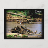 De Samburu Briefkaart (Voorkant)