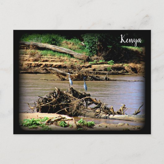 De Samburu Briefkaart (Voorkant)