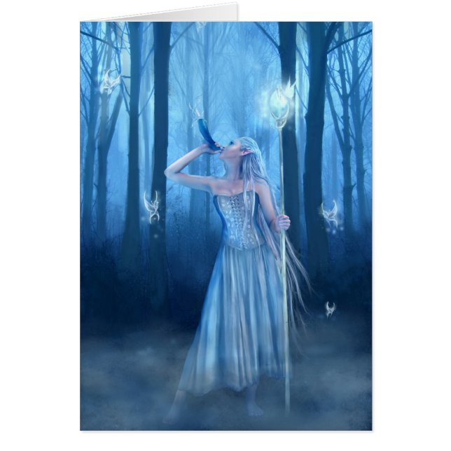 De samenvatting (Voorkant)