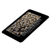 De samenwerking verbetert Uw Kans van Succes Magneet (Linkerzijde)