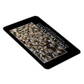 De samenwerking verbetert Uw Kans van Succes Magneet (Rechterzijde)