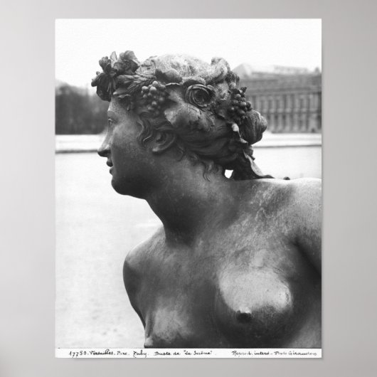 De Saone van de Parterre Poster (Voorkant)