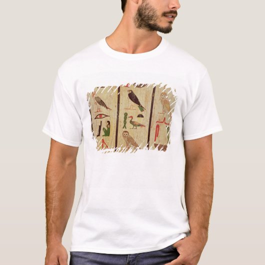 De sarcofaag van Psamtik I (664-610 BC) - gegevens T-shirt (Voorkant)
