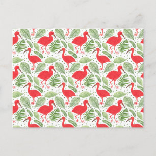 De Scarlet Ibis Briefkaart
