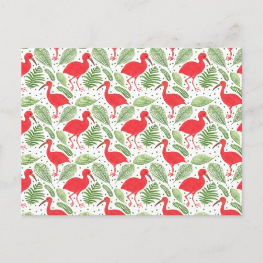 De Scarlet Ibis Briefkaart (Voorkant)