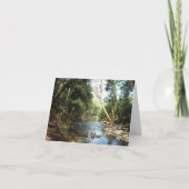 De Scene bedankt (Voorkant)