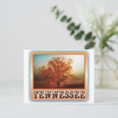 De Scène van de Boom van de Herfst van Tennessee Briefkaart (Staand voorkant)
