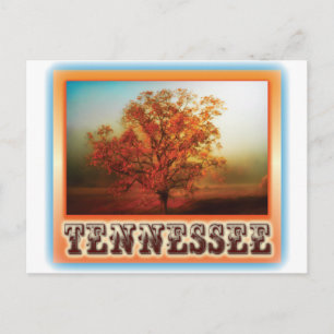 De Scène van de Boom van de Herfst van Tennessee Briefkaart