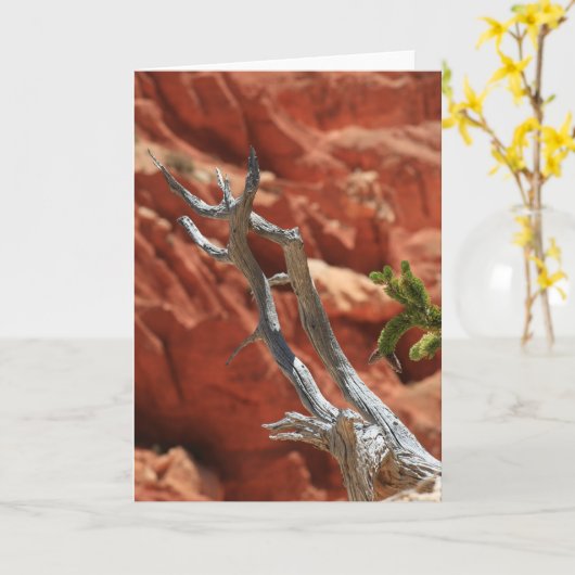 De Scène van de Canion van Bryce Kaart (Gele Bloem)