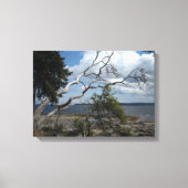 De scène van de Natuur vertakken Canvas Afdruk (Voorkant)