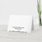 De Scène van de Wasserij van de Winter van Amish Kaart (Achterkant)