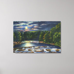 De Scène van het moonlight op de Creek van de Cat Canvas Afdruk