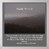 De schaduw poster (Voorkant)