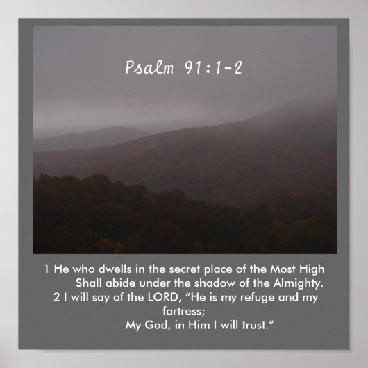 De schaduw poster (Voorkant)