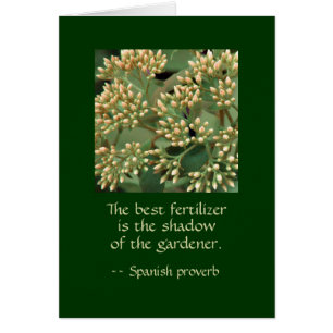 De schaduw van de beste meststof van de tuinman. G