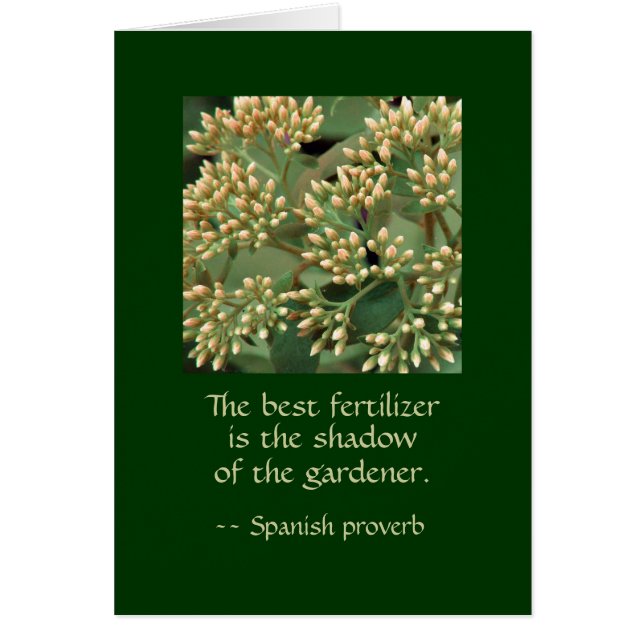 De schaduw van de beste meststof van de tuinman. G (Voorkant)