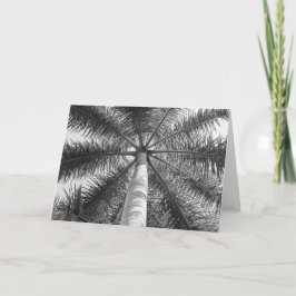 De Schaduw van de Palm van Mexico Kaart