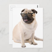 De schaduwbeker (kleur) briefkaart (Voorkant / Achterkant)