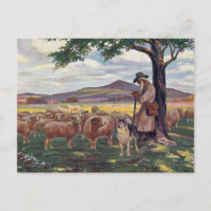 De schapen hoeden briefkaart