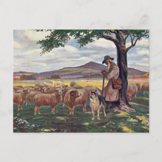 De schapen hoeden briefkaart (Voorkant)