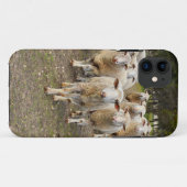 De schapen komen in Hurrah marcheren, Case-Mate iPhone Case (Achterkant (horizontaal))