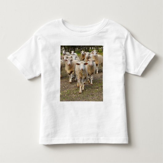 De schapen komen in Hurrah marcheren, Kinder Shirts (Voorkant)
