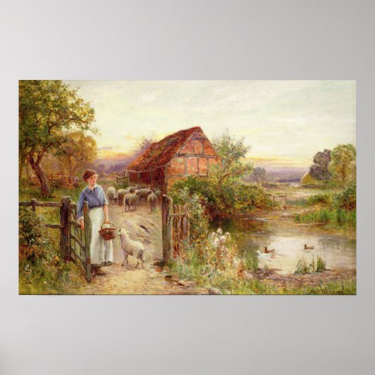 De schapen thuis brengen poster (Voorkant)