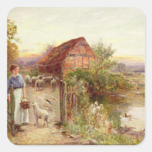 De schapen thuis brengen vierkante sticker (Voorkant)