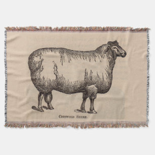 de schapen van Cotswold van de de 19de eeuwdruk Deken