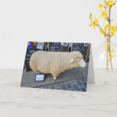 De Schapen van de straat Kaart (Gele Bloem)